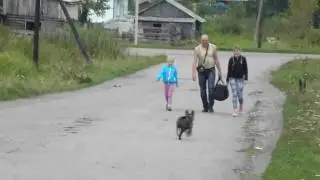 Мамины дочки встречают Папу после 1 месяца разлуки.