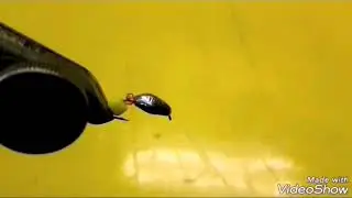 Творческий процесс.