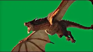 Flying dragon Green Screen. Effect 4K