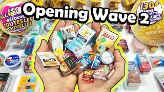 Opening up the NEW Mini Brands Series 2 WAVE 2 - FOUND THEM!