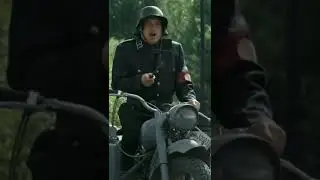Пёс смешные моменты 