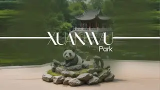 Second Place you must visit in China || Nanjing