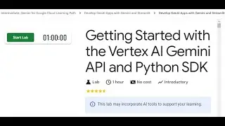 Getting Started with the Vertex AI Gemini API and Python SDK