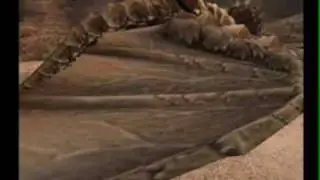 Monster Hunter: The Hunter's Tale III