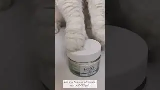 необремененное смысловой нагрузкой видео