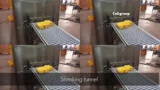 Работа термоформера и термоусадочного туннеля упаковка сыра