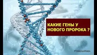 ПРО ГЕНЫ НОВОГО ПРОРОКА И НЕ ТОЛЬКО, ОТКРОВЕНИЯ. Перезалив. (ГРЯДУЩИЙ ЦАРЬ, АВАТАР, МАХДИ, МАШИАХ)