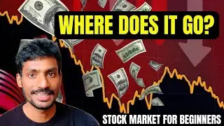 When Market Crashes Where Does the Money Go? | How Stock Market Works?