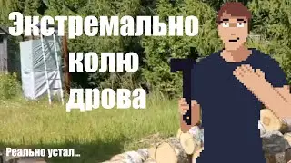 История о том как я дрова колол | Гений рубит дрова зубачисткой!!!!