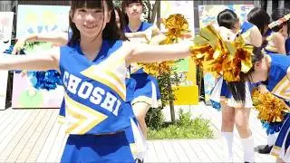市銚祭でクラスメイトや保護者が見守る中、日頃の練習の成果を披露する市立銚子高校チアリーディング部