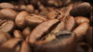 Roasted coffee bean - NO COPYRIGHT