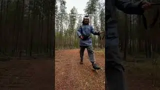 Живу в лесу, а собаку вожу на машине гулять в другой лес???  