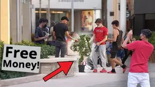 I Made Money Grow On Trees! *Social Experiment*