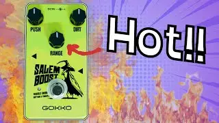 I've not seen one of THESE under $40!? Gokko Salem Boost