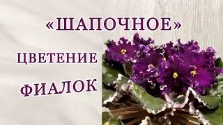 Что такое 