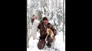 18+  Охота с биглем. Выход 21.11.2021 г.