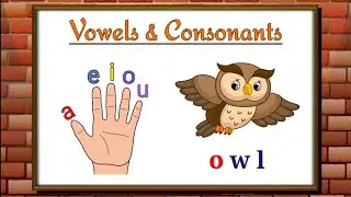 Vowels and Consonants
