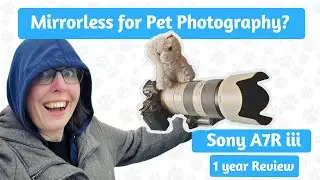 Sony A7R iii 1 Year Review | Does This Pet Photographer Like Mirrorless?