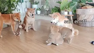 Typical Japanese Strict Mom