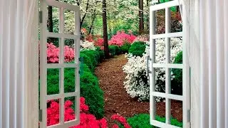 Цитаты великих людей. Омар Хайам. В одно окно