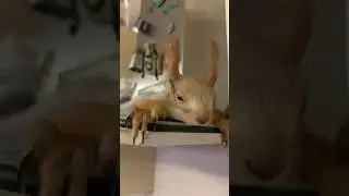 За Окном Сегодня Жарко 😎 