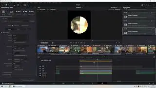 DaVinci Resolve 18.1.3 Bugs | Preset problem