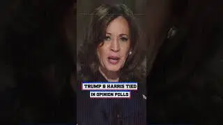 US Presidential Debate: Trump & Harris Locked in a Tight Race | Vantage with Palki Sharma