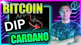 Bitcoin & Cardano Dip As Markets Fall Into Some Fear