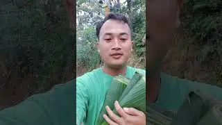 jual daun pisang - apa itu gengsi