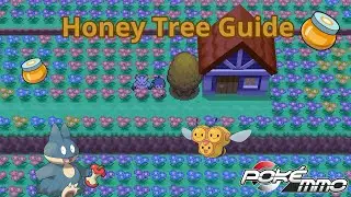 Honey Tree Guide - Pokemmo - All you need to know with locations