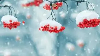 ❄️Зимний релакс❄️