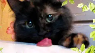Мой фильм