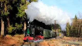 Adventsdampf und Mettenschicht an der Preßnitztalbahn