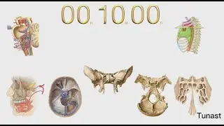 10 Dakikalık Geri Sayım (Alarmlı)
