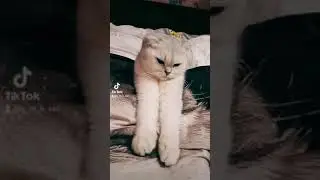 Боня😇😇😇 
