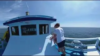 Bryde's whale watching ship (FHD)