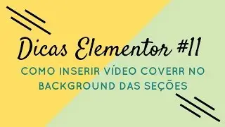 Dicas Elementor #11 - Como Inserir Vídeo do Site Coverr no Elementor