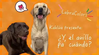 Kahlúa presenta: 