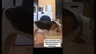 Шейпинг - нужно угадать, что сделать с тазом - сесть внутрь. Я не подсказываю, только хвалю 