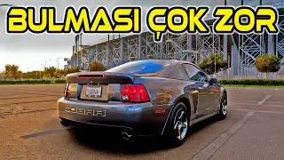Forza Horizon 5 Rarest Cars