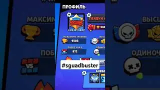 #sguadbusters