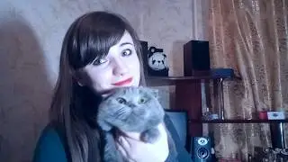 2.0 ЧЕМ ЖЕ ВСЕ ТАКИ КОРМИТЬ ШОТЛАНДСКИХ ВИСЛОУХИХ?