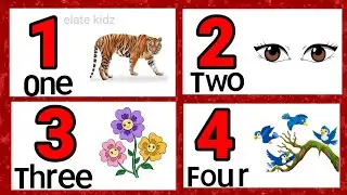 Numbers 1 to 20 with spelling / Learn numbers 1 to 20 in English for kids @Elatekidz-ql1yk