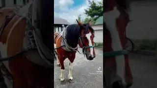 Part 2: Fairy tail town in Japan