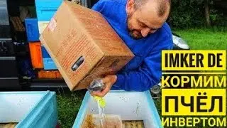 Apiary of a German beekeeper: feed the bees invert. syrup