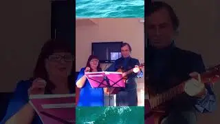 ПРО БАКЛАНОВ И ПЛОВЦА -шутливая песенка shorts 