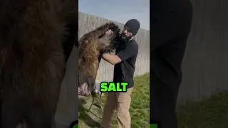 3 Ways to FLESH A HIDE 