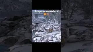 Встретила оленёнка в ETS 2 😍🦌