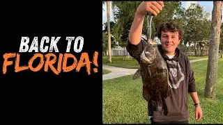I moved BACK to Florida!!! Fishing for anything that bites in the Bayou! (NEW SPECIES ALERT)
