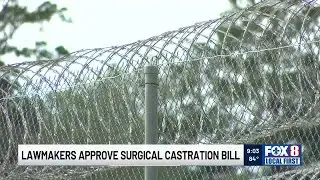 Louisiana lawmakers approve surgical castration for sex offenders who victimize young children